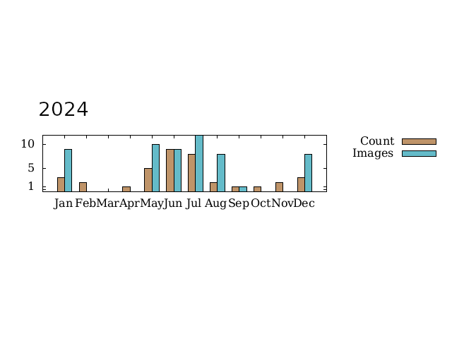 summary graph 3
